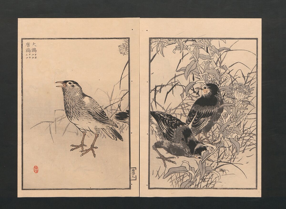 Bairei Picture Album of One Hundred Birds (Bairei hyakuchō gafu) 楳嶺百鳥畫譜, Kōno Bairei  幸野楳嶺 (Japanese, 1844–1895), Set of three polychrome woodblock printed books; ink and color on paper, Japan