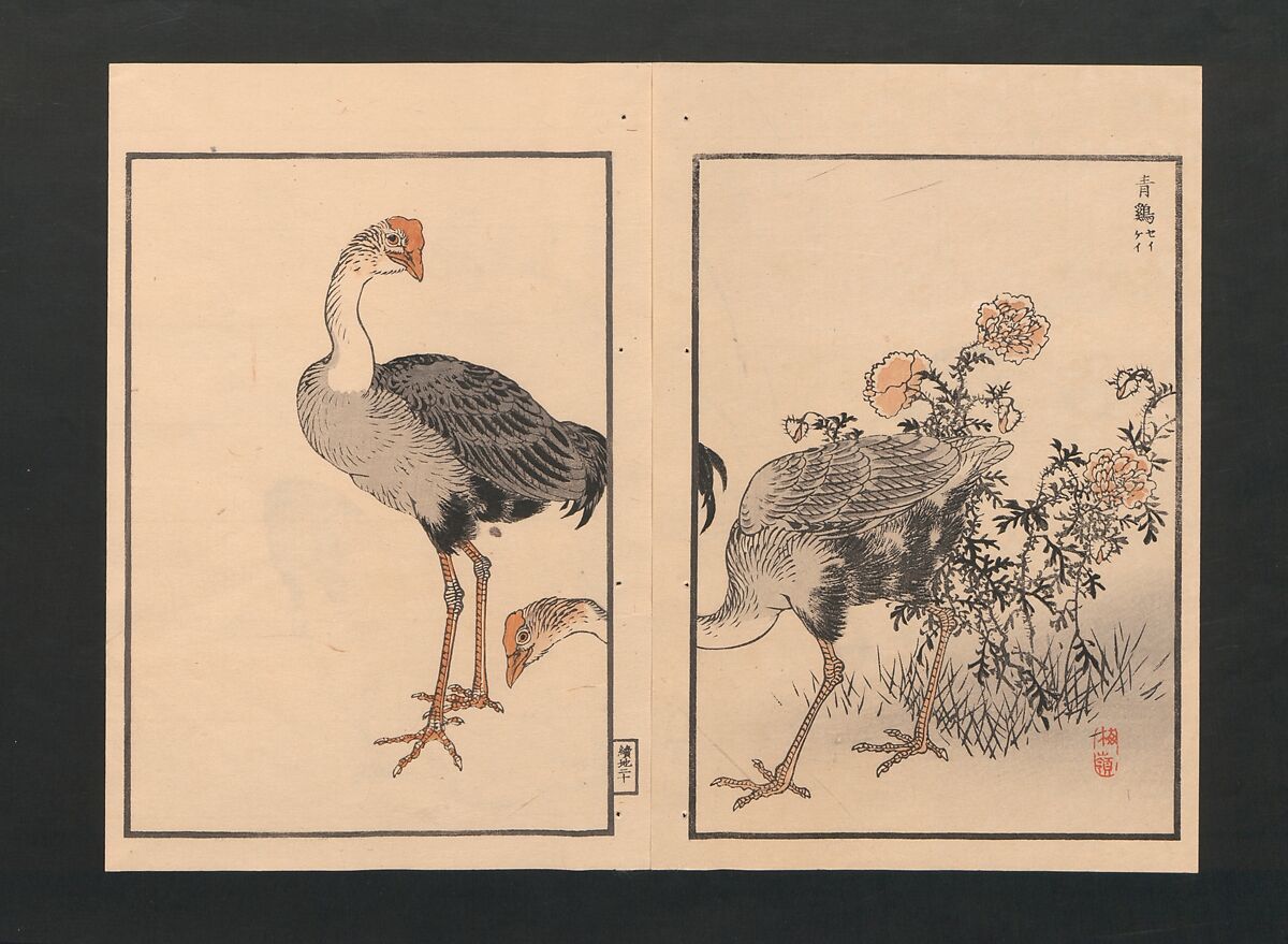Bairei Picture Album of One Hundred Birds (Bairei hyakuchō gafu) 楳嶺百鳥畫譜, Kōno Bairei  幸野楳嶺 (Japanese, 1844–1895), Set of three polychrome woodblock printed books; ink and color on paper, Japan