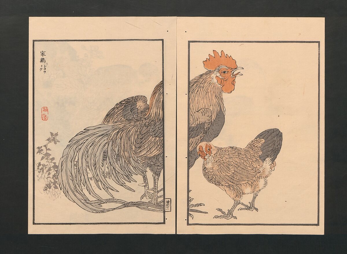 Bairei Picture Album of One Hundred Birds (Bairei hyakuchō gafu) 楳嶺百鳥畫譜, Kōno Bairei  幸野楳嶺 (Japanese, 1844–1895), Set of three polychrome woodblock printed books; ink and color on paper, Japan
