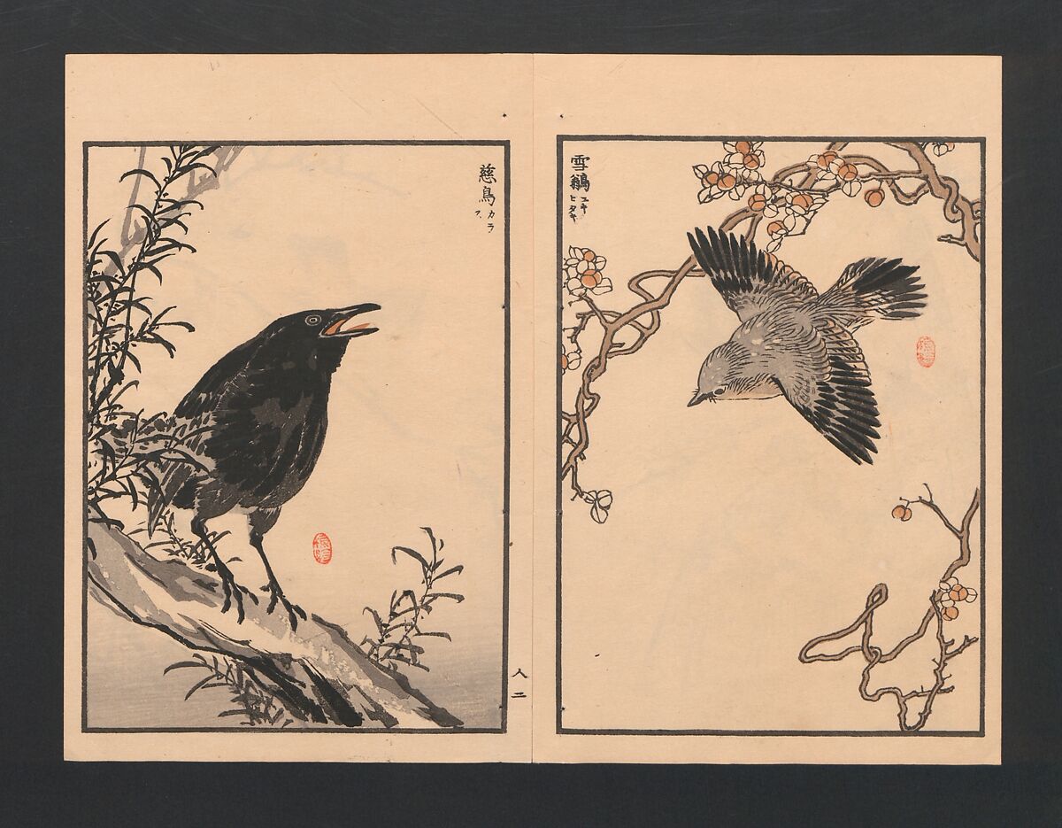Bairei Picture Album of One Hundred Birds (Bairei hyakuchō gafu) 楳嶺百鳥畫譜, Kōno Bairei  幸野楳嶺 (Japanese, 1844–1895), Set of three polychrome woodblock printed books; ink and color on paper, Japan