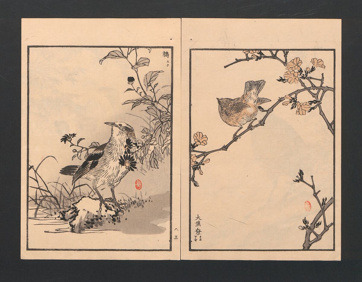 Bairei Picture Album of One Hundred Birds (Bairei hyakuchō gafu) 楳嶺百鳥畫譜, Kōno Bairei  幸野楳嶺 (Japanese, 1844–1895), Set of three polychrome woodblock printed books; ink and color on paper, Japan