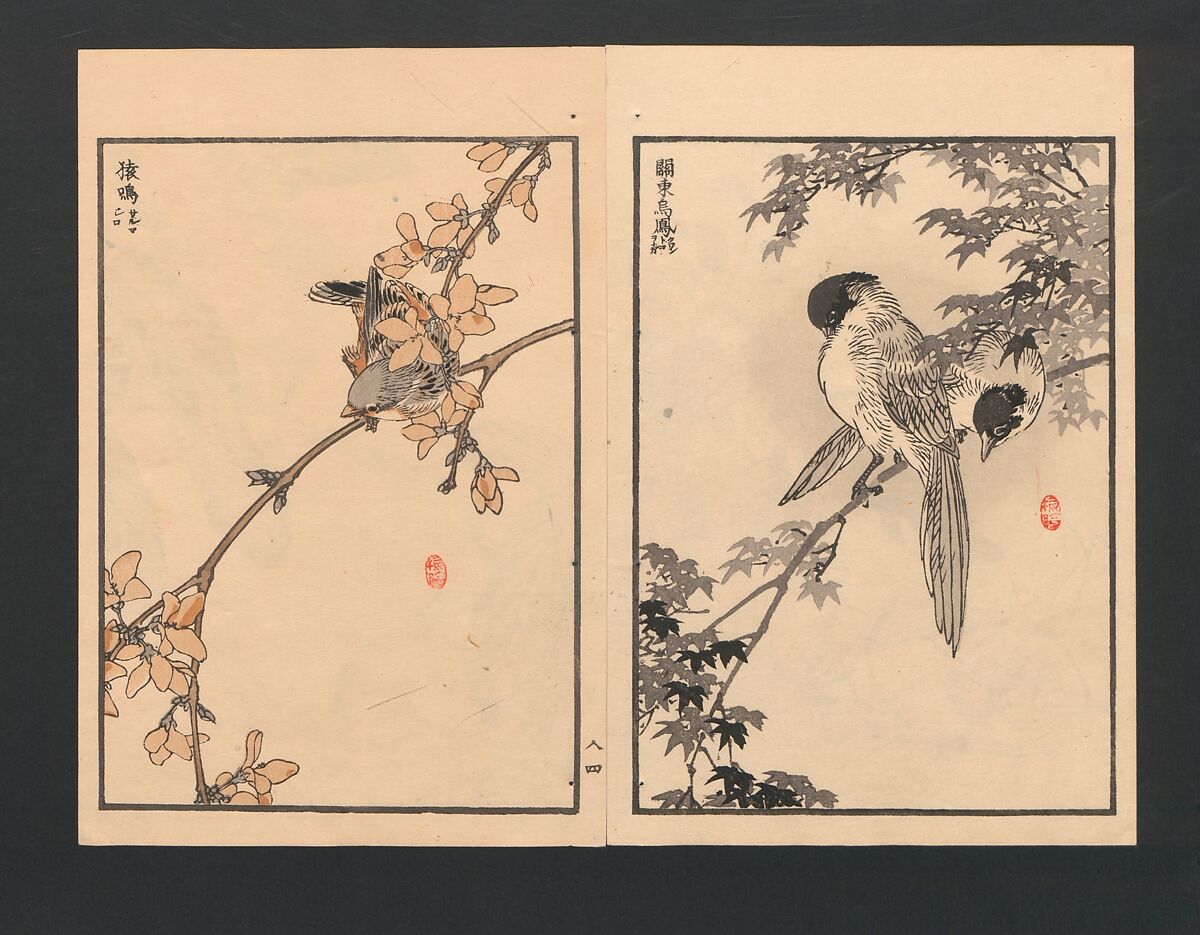 Bairei Picture Album of One Hundred Birds (Bairei hyakuchō gafu) 楳嶺百鳥畫譜, Kōno Bairei  幸野楳嶺 (Japanese, 1844–1895), Set of three polychrome woodblock printed books; ink and color on paper, Japan