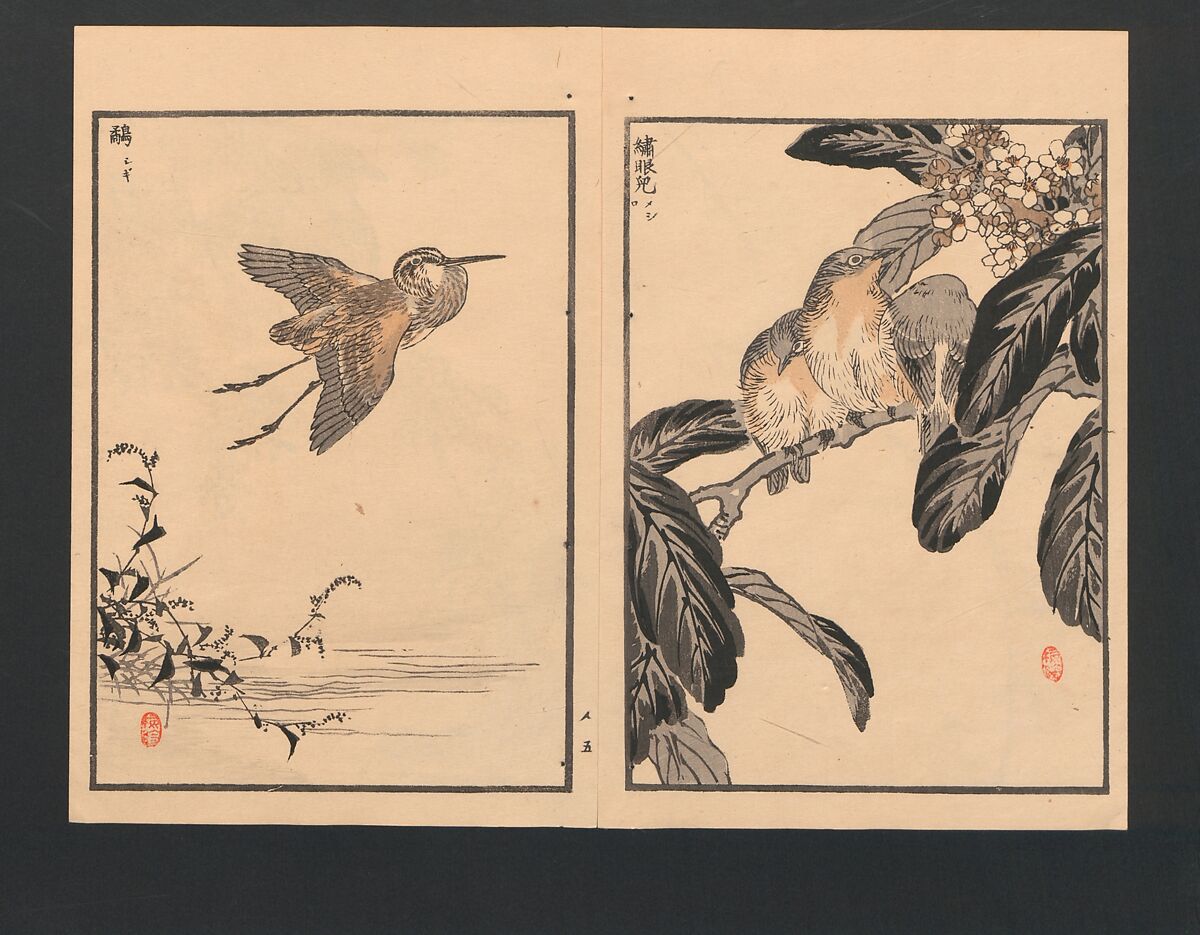 Bairei Picture Album of One Hundred Birds (Bairei hyakuchō gafu) 楳嶺百鳥畫譜, Kōno Bairei  幸野楳嶺 (Japanese, 1844–1895), Set of three polychrome woodblock printed books; ink and color on paper, Japan