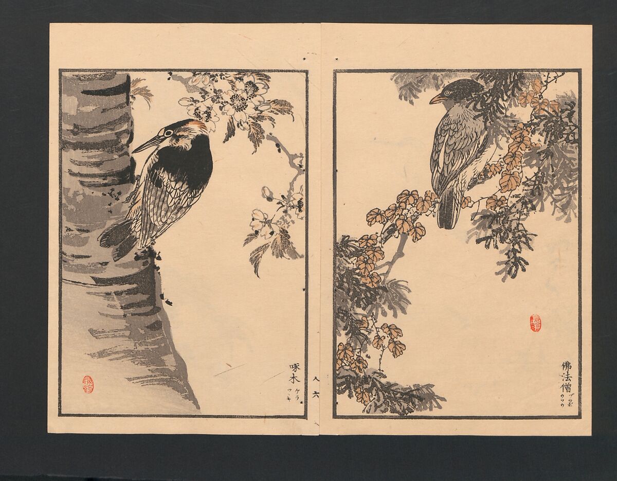 Bairei Picture Album of One Hundred Birds (Bairei hyakuchō gafu) 楳嶺百鳥畫譜, Kōno Bairei  幸野楳嶺 (Japanese, 1844–1895), Set of three polychrome woodblock printed books; ink and color on paper, Japan