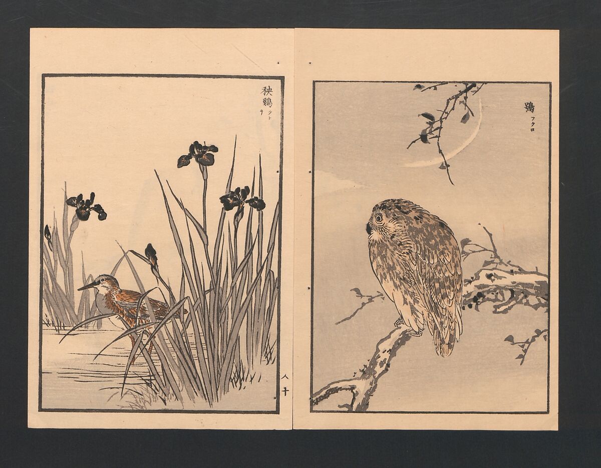 Bairei Picture Album of One Hundred Birds (Bairei hyakuchō gafu) 楳嶺百鳥畫譜, Kōno Bairei  幸野楳嶺 (Japanese, 1844–1895), Set of three polychrome woodblock printed books; ink and color on paper, Japan