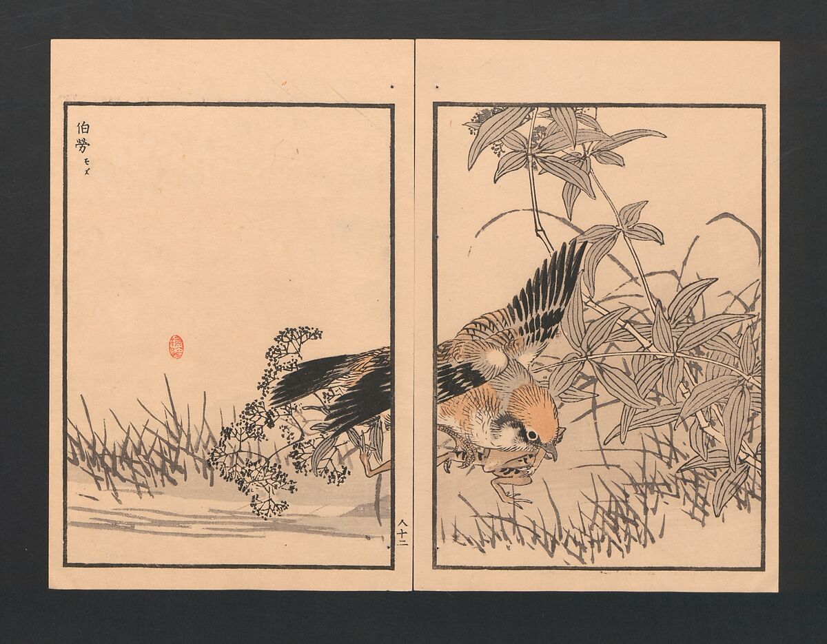 Bairei Picture Album of One Hundred Birds (Bairei hyakuchō gafu) 楳嶺百鳥畫譜, Kōno Bairei  幸野楳嶺 (Japanese, 1844–1895), Set of three polychrome woodblock printed books; ink and color on paper, Japan
