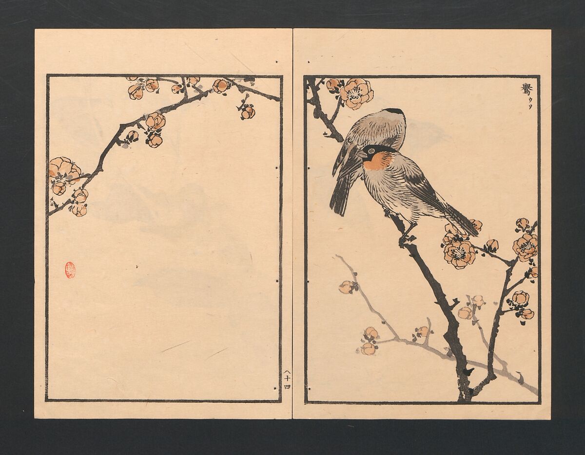 Bairei Picture Album of One Hundred Birds (Bairei hyakuchō gafu) 楳嶺百鳥畫譜, Kōno Bairei  幸野楳嶺 (Japanese, 1844–1895), Set of three polychrome woodblock printed books; ink and color on paper, Japan