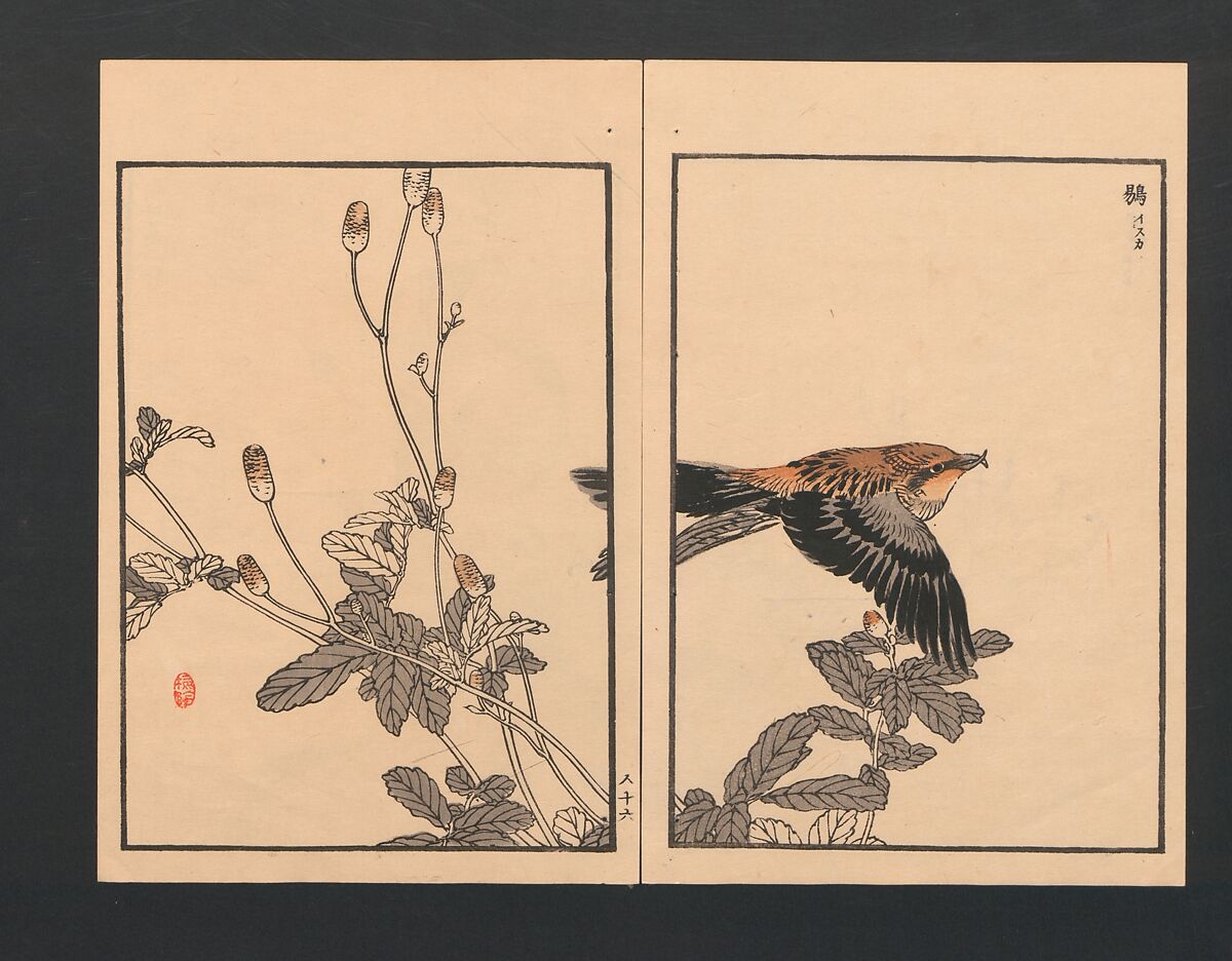 Bairei Picture Album of One Hundred Birds (Bairei hyakuchō gafu) 楳嶺百鳥畫譜, Kōno Bairei  幸野楳嶺 (Japanese, 1844–1895), Set of three polychrome woodblock printed books; ink and color on paper, Japan