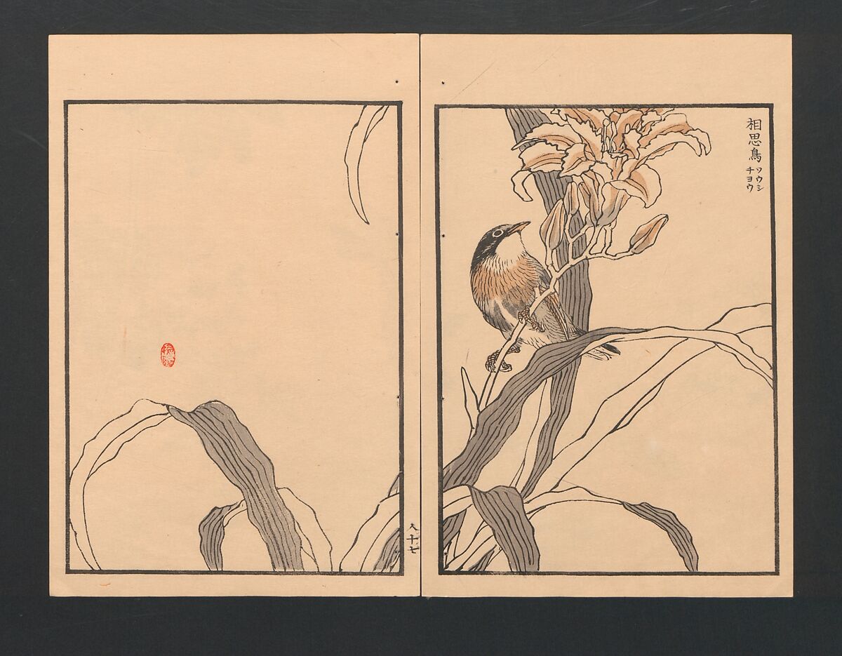 Bairei Picture Album of One Hundred Birds (Bairei hyakuchō gafu) 楳嶺百鳥畫譜, Kōno Bairei  幸野楳嶺 (Japanese, 1844–1895), Set of three polychrome woodblock printed books; ink and color on paper, Japan