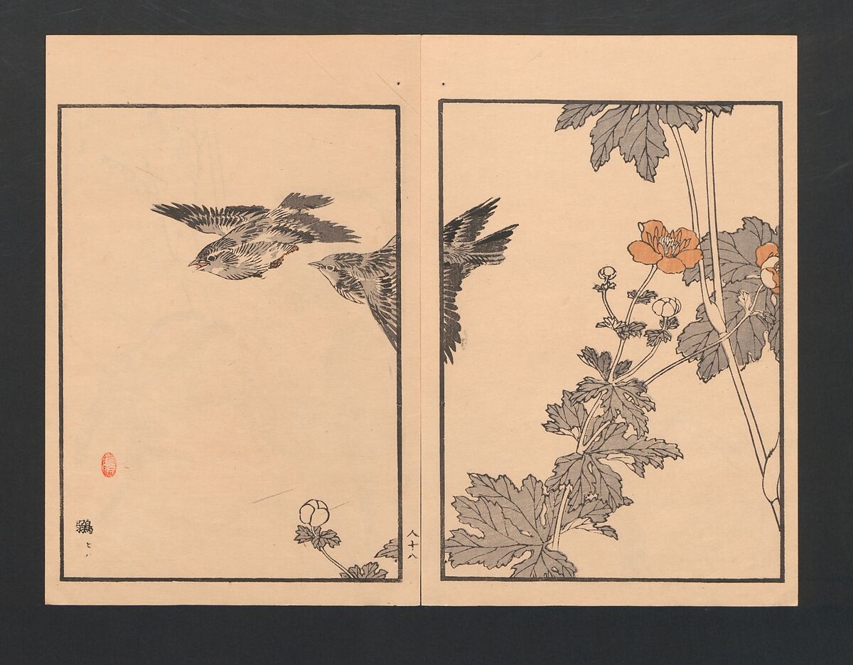 Bairei Picture Album of One Hundred Birds (Bairei hyakuchō gafu) 楳嶺百鳥畫譜, Kōno Bairei  幸野楳嶺 (Japanese, 1844–1895), Set of three polychrome woodblock printed books; ink and color on paper, Japan