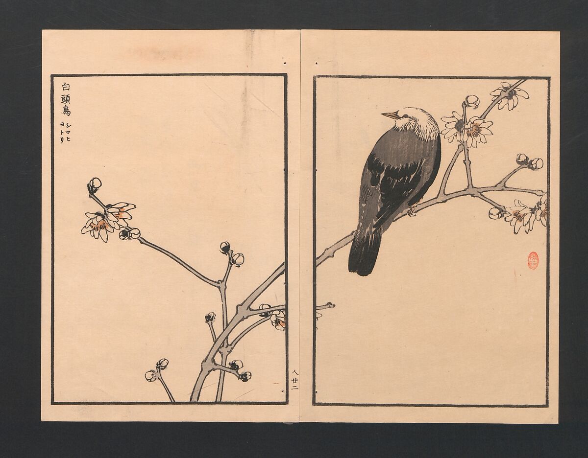 Bairei Picture Album of One Hundred Birds (Bairei hyakuchō gafu) 楳嶺百鳥畫譜, Kōno Bairei  幸野楳嶺 (Japanese, 1844–1895), Set of three polychrome woodblock printed books; ink and color on paper, Japan