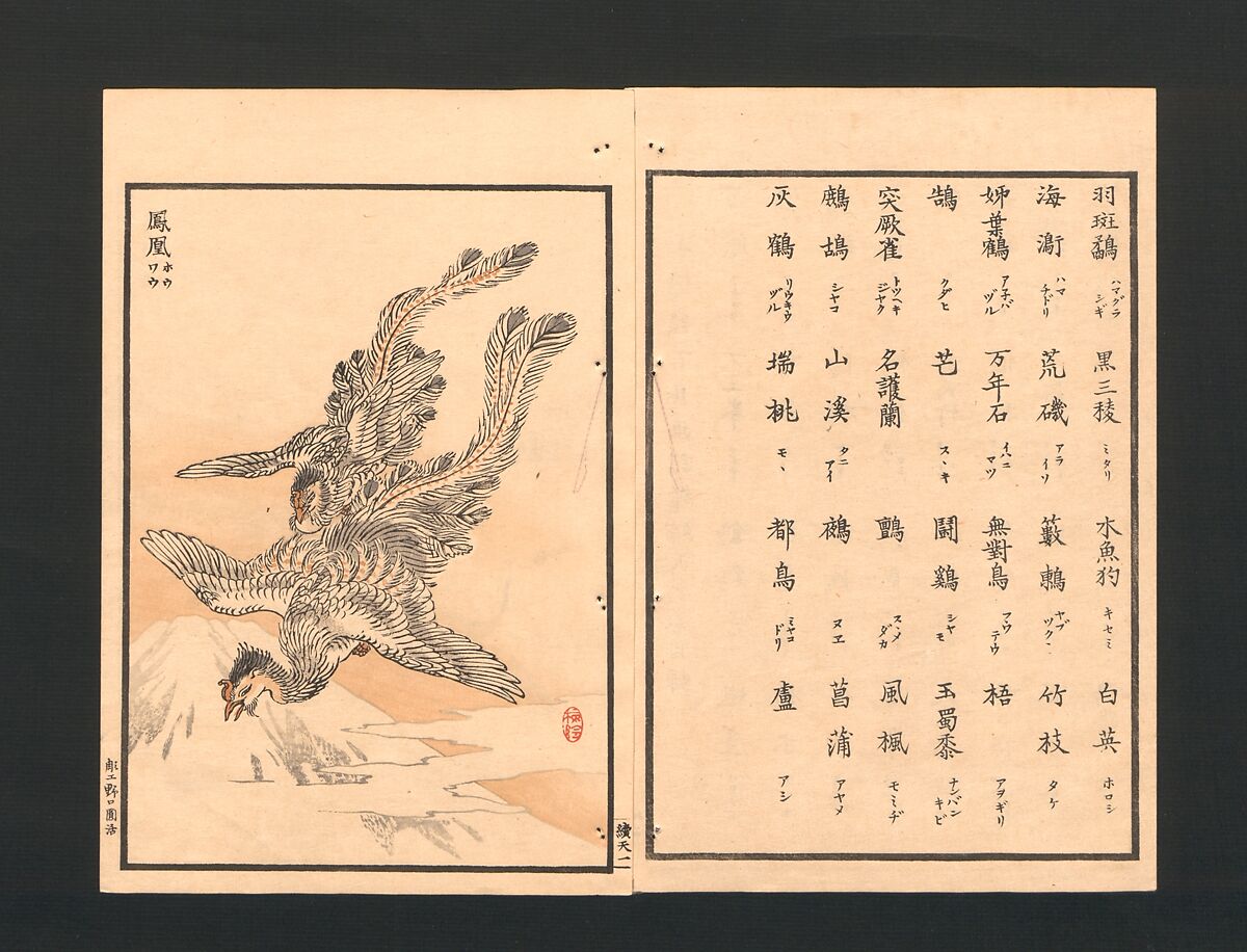 Bairei Picture Album of One Hundred Birds (Bairei hyakuchō gafu) 楳嶺百鳥畫譜, Kōno Bairei  幸野楳嶺 (Japanese, 1844–1895), Set of three polychrome woodblock printed books; ink and color on paper, Japan