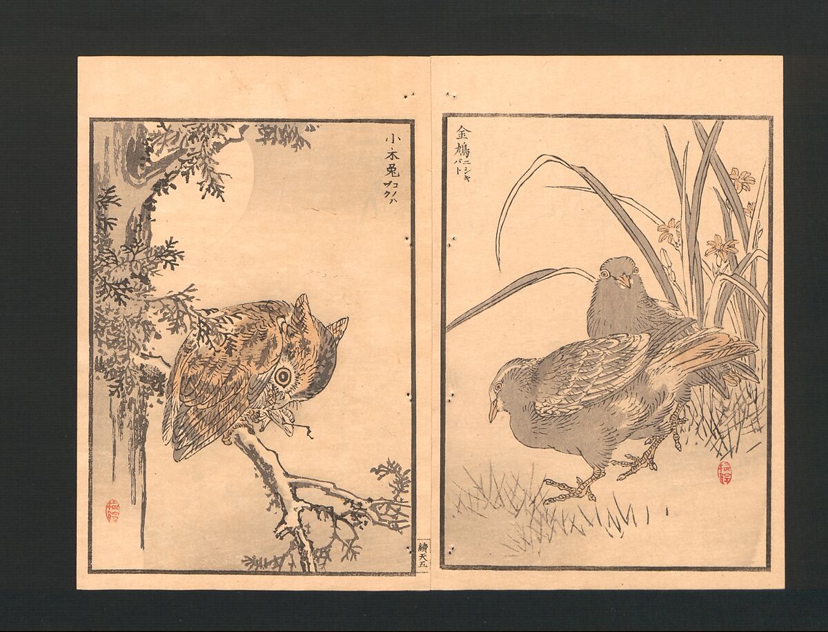 Bairei Picture Album of One Hundred Birds (Bairei hyakuchō gafu) 楳嶺百鳥畫譜, Kōno Bairei  幸野楳嶺 (Japanese, 1844–1895), Set of three polychrome woodblock printed books; ink and color on paper, Japan