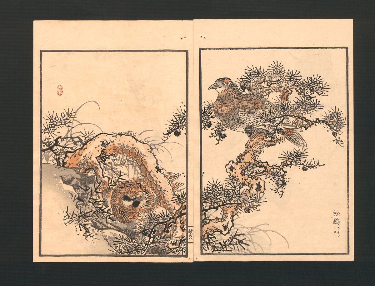 Bairei Picture Album of One Hundred Birds (Bairei hyakuchō gafu) 楳嶺百鳥畫譜, Kōno Bairei  幸野楳嶺 (Japanese, 1844–1895), Set of three polychrome woodblock printed books; ink and color on paper, Japan