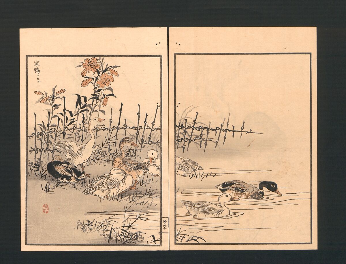 Bairei Picture Album of One Hundred Birds (Bairei hyakuchō gafu) 楳嶺百鳥畫譜, Kōno Bairei  幸野楳嶺 (Japanese, 1844–1895), Set of three polychrome woodblock printed books; ink and color on paper, Japan