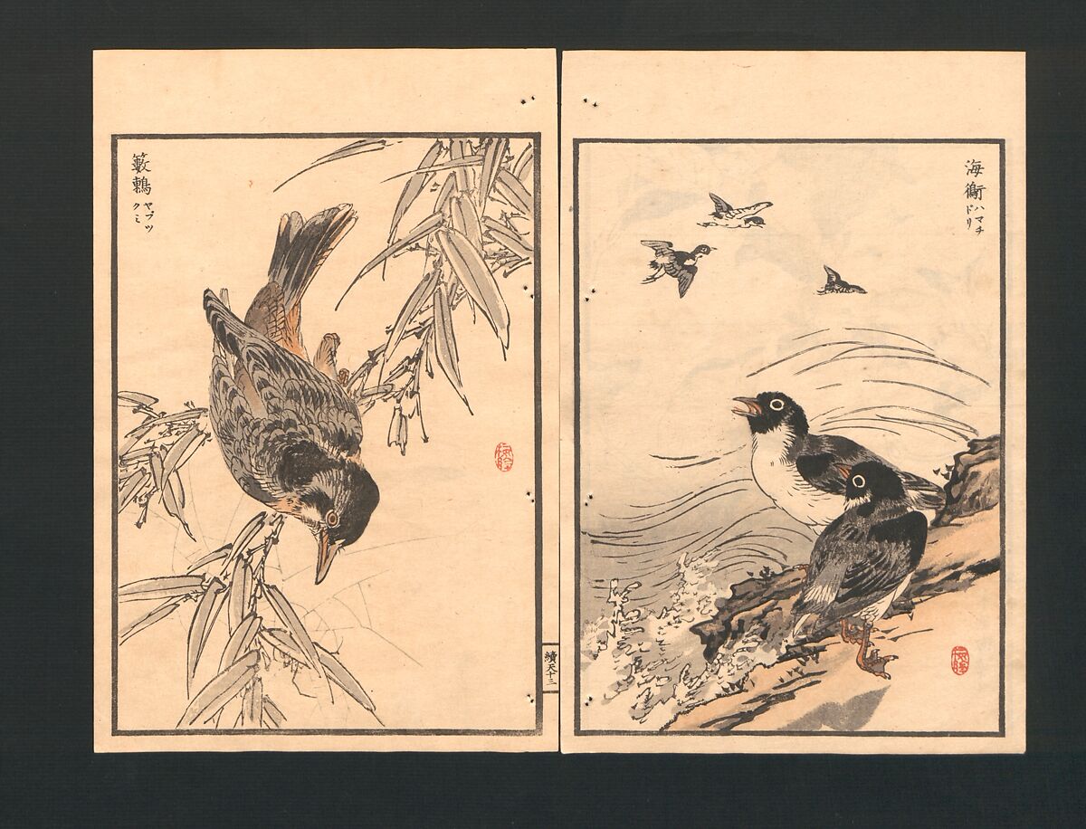 Bairei Picture Album of One Hundred Birds (Bairei hyakuchō gafu) 楳嶺百鳥畫譜, Kōno Bairei  幸野楳嶺 (Japanese, 1844–1895), Set of three polychrome woodblock printed books; ink and color on paper, Japan