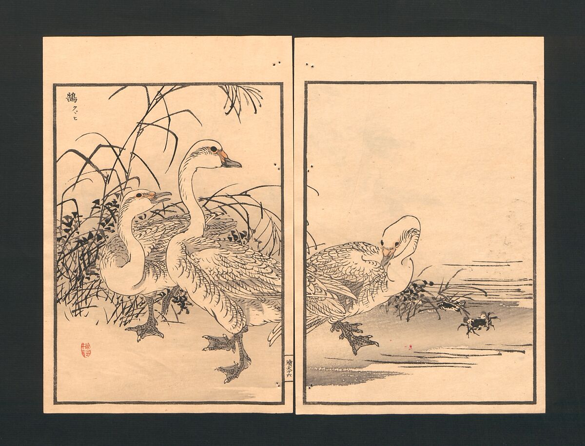 Bairei Picture Album of One Hundred Birds (Bairei hyakuchō gafu) 楳嶺百鳥畫譜, Kōno Bairei  幸野楳嶺 (Japanese, 1844–1895), Set of three polychrome woodblock printed books; ink and color on paper, Japan