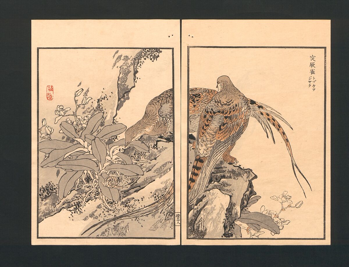 Bairei Picture Album of One Hundred Birds (Bairei hyakuchō gafu) 楳嶺百鳥畫譜, Kōno Bairei  幸野楳嶺 (Japanese, 1844–1895), Set of three polychrome woodblock printed books; ink and color on paper, Japan