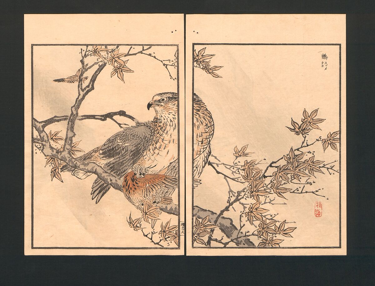 Bairei Picture Album of One Hundred Birds (Bairei hyakuchō gafu) 楳嶺百鳥畫譜, Kōno Bairei  幸野楳嶺 (Japanese, 1844–1895), Set of three polychrome woodblock printed books; ink and color on paper, Japan