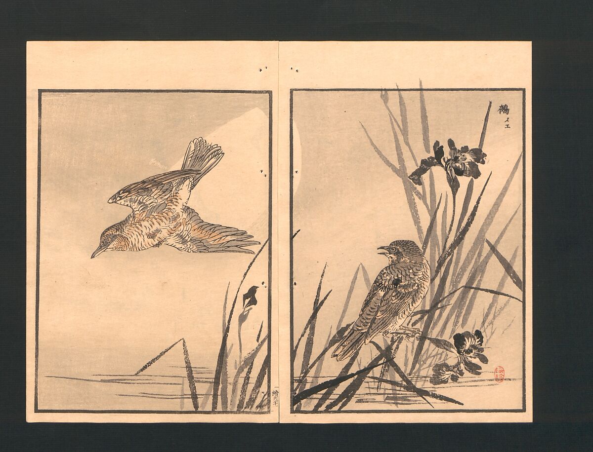 Bairei Picture Album of One Hundred Birds (Bairei hyakuchō gafu) 楳嶺百鳥畫譜, Kōno Bairei  幸野楳嶺 (Japanese, 1844–1895), Set of three polychrome woodblock printed books; ink and color on paper, Japan