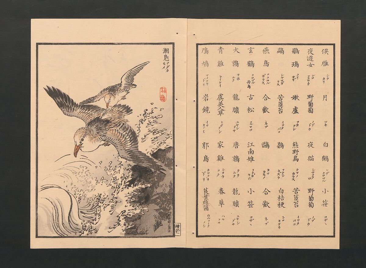 Bairei Picture Album of One Hundred Birds (Bairei hyakuchō gafu) 楳嶺百鳥畫譜, Kōno Bairei  幸野楳嶺 (Japanese, 1844–1895), Set of three polychrome woodblock printed books; ink and color on paper, Japan