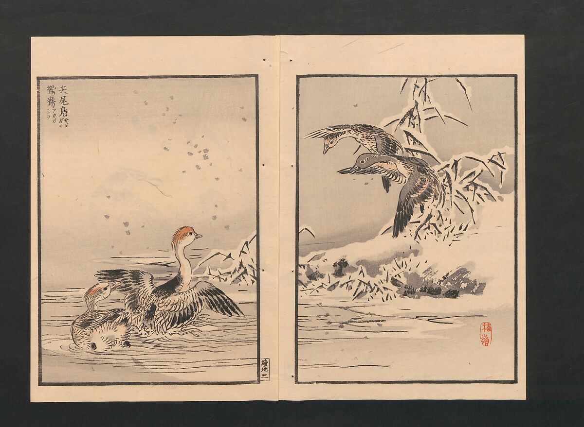 Bairei Picture Album of One Hundred Birds (Bairei hyakuchō gafu) 楳嶺百鳥畫譜, Kōno Bairei  幸野楳嶺 (Japanese, 1844–1895), Set of three polychrome woodblock printed books; ink and color on paper, Japan