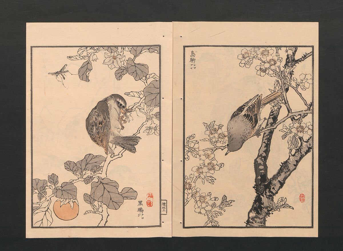 Bairei Picture Album of One Hundred Birds (Bairei hyakuchō gafu) 楳嶺百鳥畫譜, Kōno Bairei  幸野楳嶺 (Japanese, 1844–1895), Set of three polychrome woodblock printed books; ink and color on paper, Japan