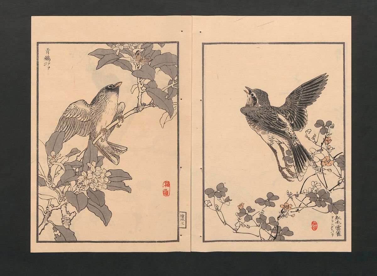 Bairei Picture Album of One Hundred Birds (Bairei hyakuchō gafu) 楳嶺百鳥畫譜, Kōno Bairei  幸野楳嶺 (Japanese, 1844–1895), Set of three polychrome woodblock printed books; ink and color on paper, Japan