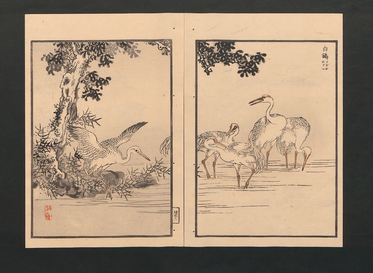 Bairei Picture Album of One Hundred Birds (Bairei hyakuchō gafu) 楳嶺百鳥畫譜, Kōno Bairei  幸野楳嶺 (Japanese, 1844–1895), Set of three polychrome woodblock printed books; ink and color on paper, Japan