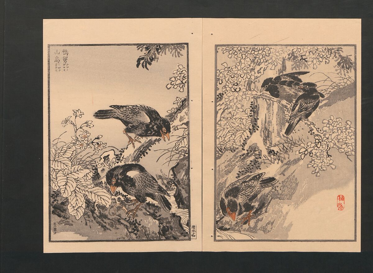 Bairei Picture Album of One Hundred Birds (Bairei hyakuchō gafu) 楳嶺百鳥畫譜, Kōno Bairei  幸野楳嶺 (Japanese, 1844–1895), Set of three polychrome woodblock printed books; ink and color on paper, Japan