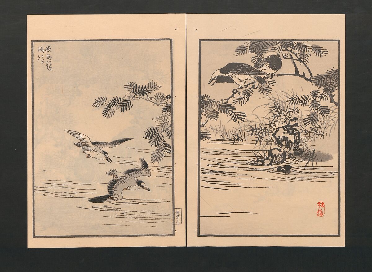 Bairei Picture Album of One Hundred Birds (Bairei hyakuchō gafu) 楳嶺百鳥畫譜, Kōno Bairei  幸野楳嶺 (Japanese, 1844–1895), Set of three polychrome woodblock printed books; ink and color on paper, Japan