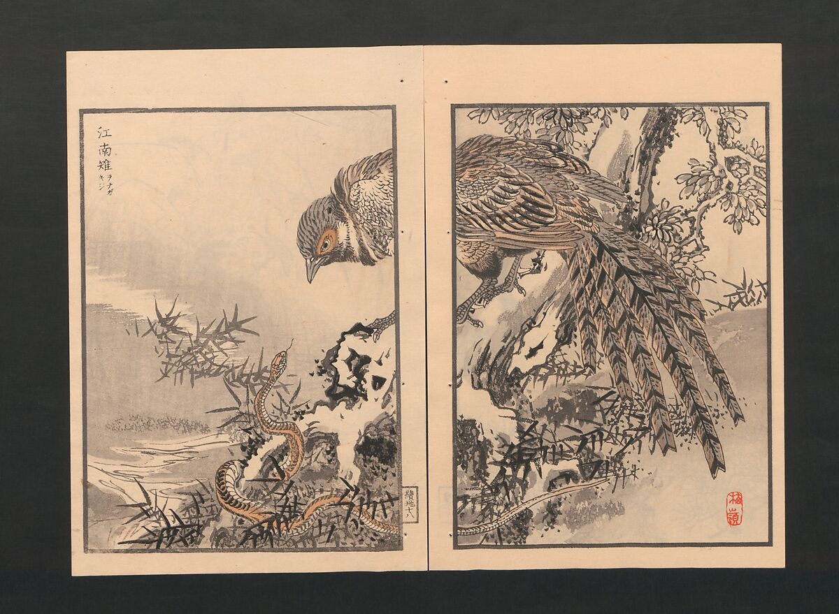 Bairei Picture Album of One Hundred Birds (Bairei hyakuchō gafu) 楳嶺百鳥畫譜, Kōno Bairei  幸野楳嶺 (Japanese, 1844–1895), Set of three polychrome woodblock printed books; ink and color on paper, Japan