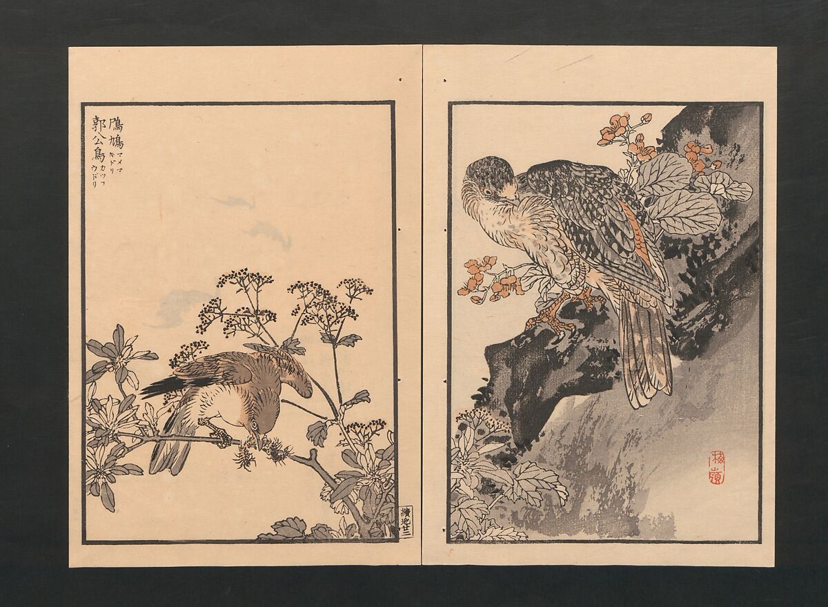 Bairei Picture Album of One Hundred Birds (Bairei hyakuchō gafu) 楳嶺百鳥畫譜, Kōno Bairei  幸野楳嶺 (Japanese, 1844–1895), Set of three polychrome woodblock printed books; ink and color on paper, Japan