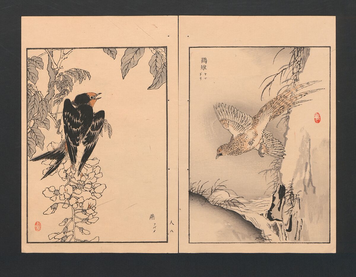 Bairei Picture Album of One Hundred Birds (Bairei hyakuchō gafu) 楳嶺百鳥畫譜, Kōno Bairei  幸野楳嶺 (Japanese, 1844–1895), Set of three polychrome woodblock printed books; ink and color on paper, Japan