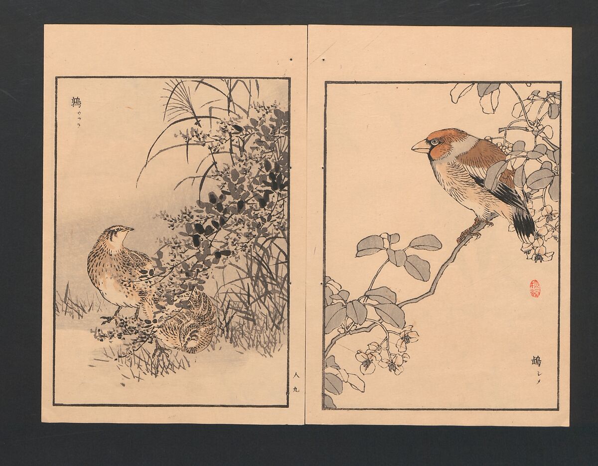 Bairei Picture Album of One Hundred Birds (Bairei hyakuchō gafu) 楳嶺百鳥畫譜, Kōno Bairei  幸野楳嶺 (Japanese, 1844–1895), Set of three polychrome woodblock printed books; ink and color on paper, Japan