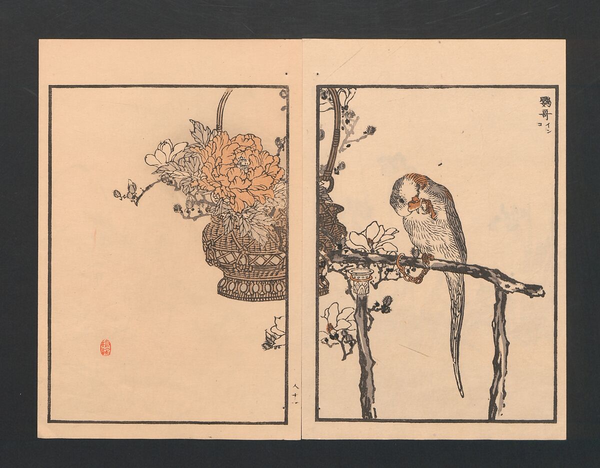 Bairei Picture Album of One Hundred Birds (Bairei hyakuchō gafu) 楳嶺百鳥畫譜, Kōno Bairei  幸野楳嶺 (Japanese, 1844–1895), Set of three polychrome woodblock printed books; ink and color on paper, Japan