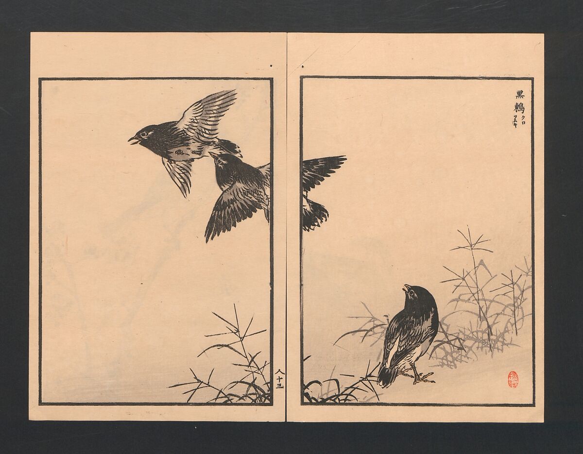 Bairei Picture Album of One Hundred Birds (Bairei hyakuchō gafu) 楳嶺百鳥畫譜, Kōno Bairei  幸野楳嶺 (Japanese, 1844–1895), Set of three polychrome woodblock printed books; ink and color on paper, Japan