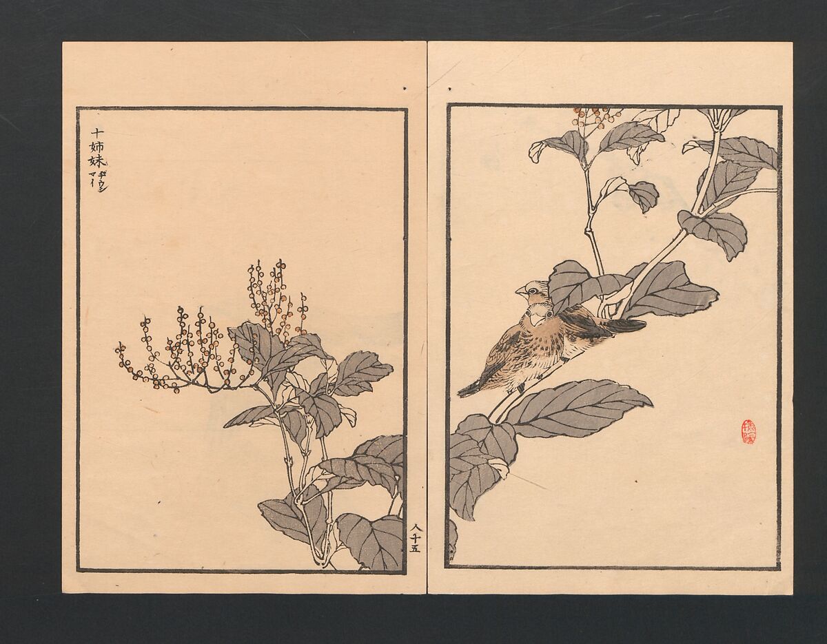 Bairei Picture Album of One Hundred Birds (Bairei hyakuchō gafu) 楳嶺百鳥畫譜, Kōno Bairei  幸野楳嶺 (Japanese, 1844–1895), Set of three polychrome woodblock printed books; ink and color on paper, Japan