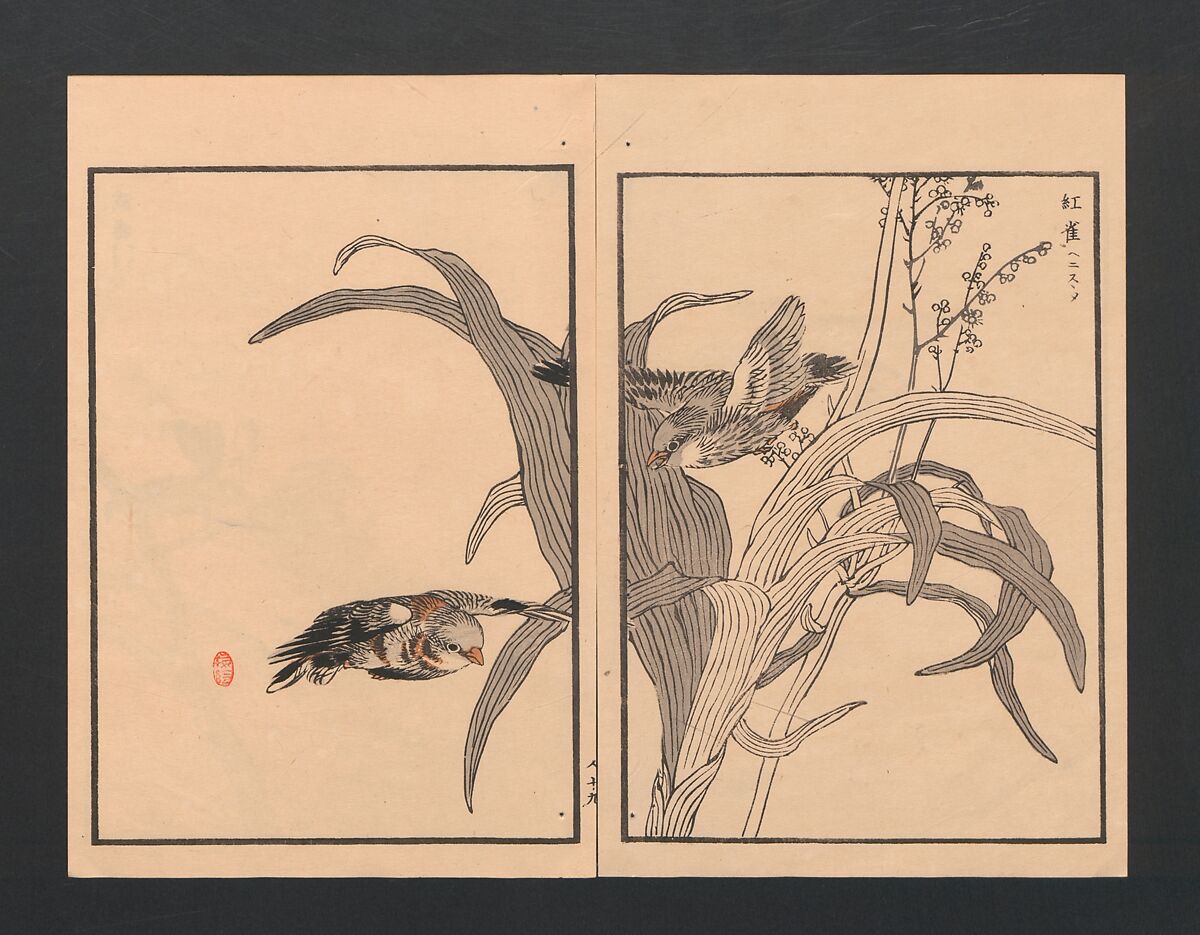 Bairei Picture Album of One Hundred Birds (Bairei hyakuchō gafu) 楳嶺百鳥畫譜, Kōno Bairei  幸野楳嶺 (Japanese, 1844–1895), Set of three polychrome woodblock printed books; ink and color on paper, Japan