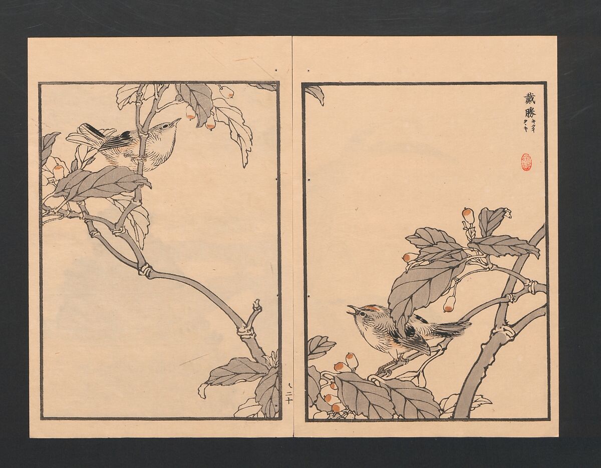 Bairei Picture Album of One Hundred Birds (Bairei hyakuchō gafu) 楳嶺百鳥畫譜, Kōno Bairei  幸野楳嶺 (Japanese, 1844–1895), Set of three polychrome woodblock printed books; ink and color on paper, Japan