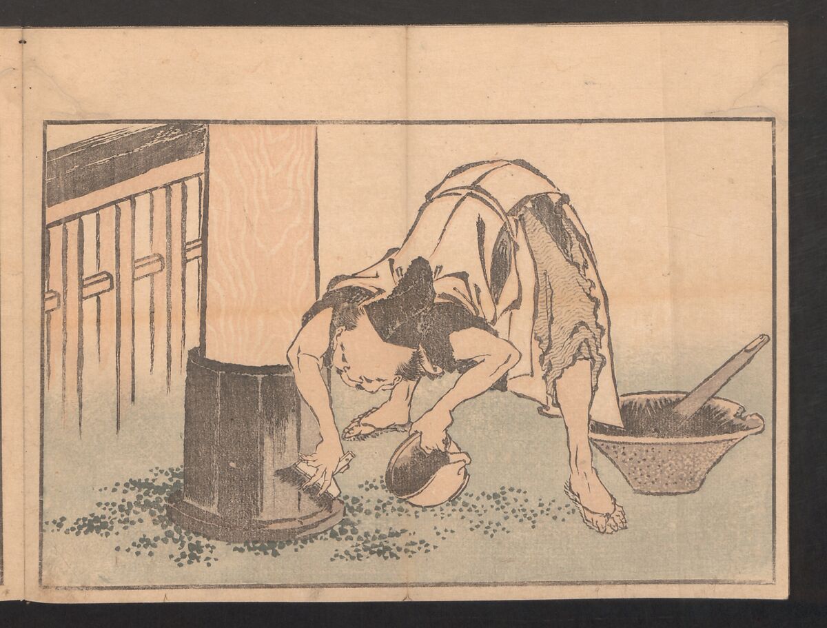 Pictures after Nature (Hokusai shashin gafu)  北斎写真画譜, Katsushika Hokusai 葛飾北斎 (Japanese, Tokyo (Edo) 1760–1849 Tokyo (Edo)), Polychrome woodblock prints in a book; ink and color on paper, Japan