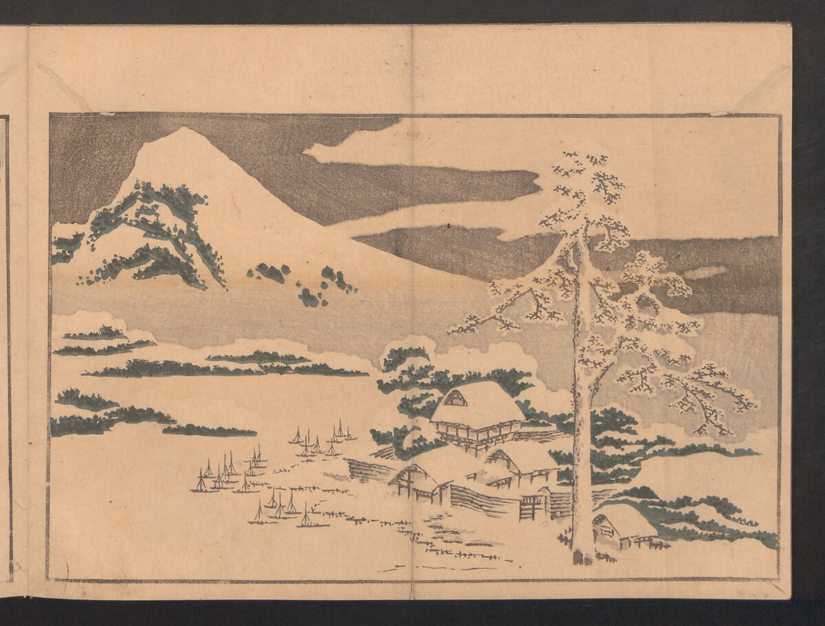 Pictures after Nature (Hokusai shashin gafu)  北斎写真画譜, Katsushika Hokusai 葛飾北斎 (Japanese, Tokyo (Edo) 1760–1849 Tokyo (Edo)), Polychrome woodblock prints in a book; ink and color on paper, Japan