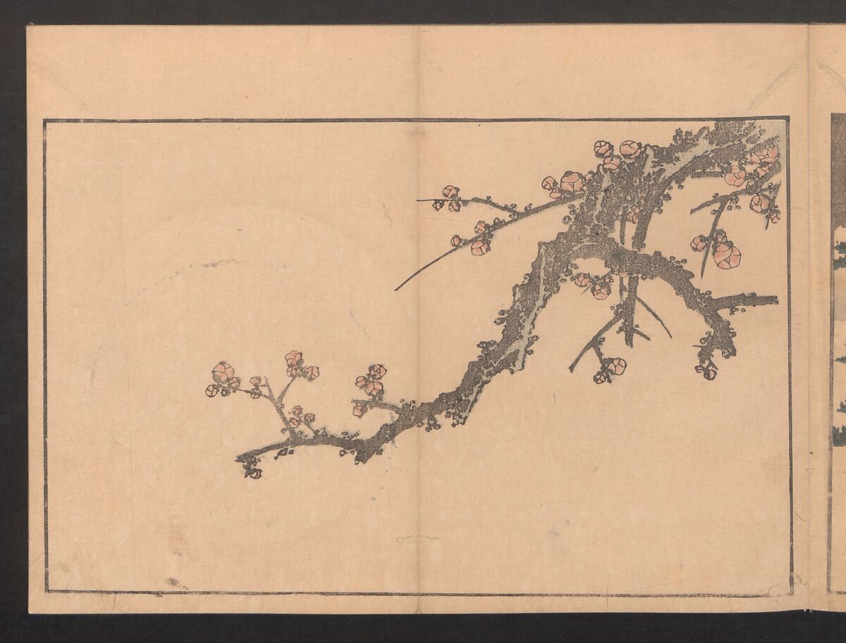 Pictures after Nature (Hokusai shashin gafu)  北斎写真画譜, Katsushika Hokusai 葛飾北斎 (Japanese, Tokyo (Edo) 1760–1849 Tokyo (Edo)), Polychrome woodblock prints in a book; ink and color on paper, Japan