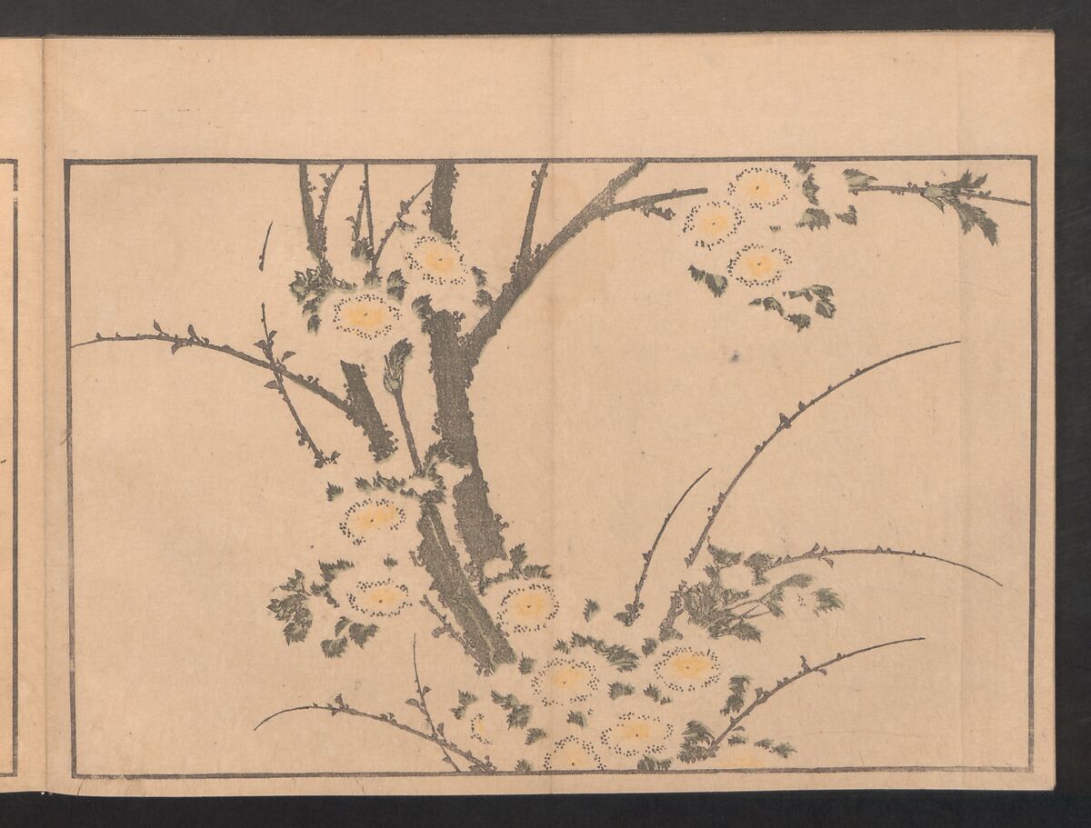 Pictures after Nature (Hokusai shashin gafu)  北斎写真画譜, Katsushika Hokusai 葛飾北斎 (Japanese, Tokyo (Edo) 1760–1849 Tokyo (Edo)), Polychrome woodblock prints in a book; ink and color on paper, Japan