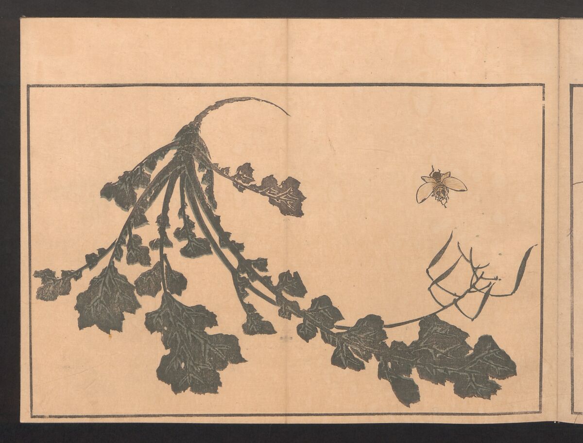 Pictures after Nature (Hokusai shashin gafu)  北斎写真画譜, Katsushika Hokusai 葛飾北斎 (Japanese, Tokyo (Edo) 1760–1849 Tokyo (Edo)), Polychrome woodblock prints in a book; ink and color on paper, Japan