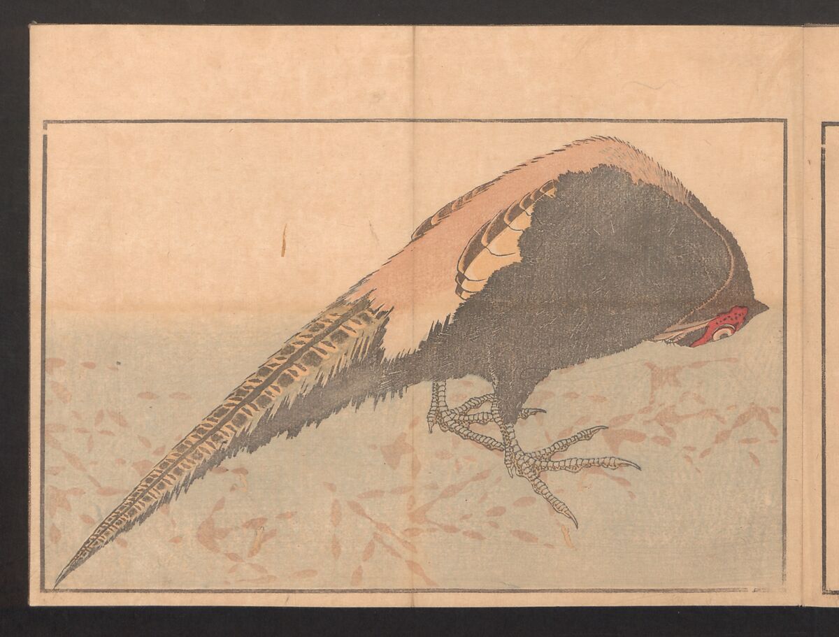 Pictures after Nature (Hokusai shashin gafu)  北斎写真画譜, Katsushika Hokusai 葛飾北斎 (Japanese, Tokyo (Edo) 1760–1849 Tokyo (Edo)), Polychrome woodblock prints in a book; ink and color on paper, Japan