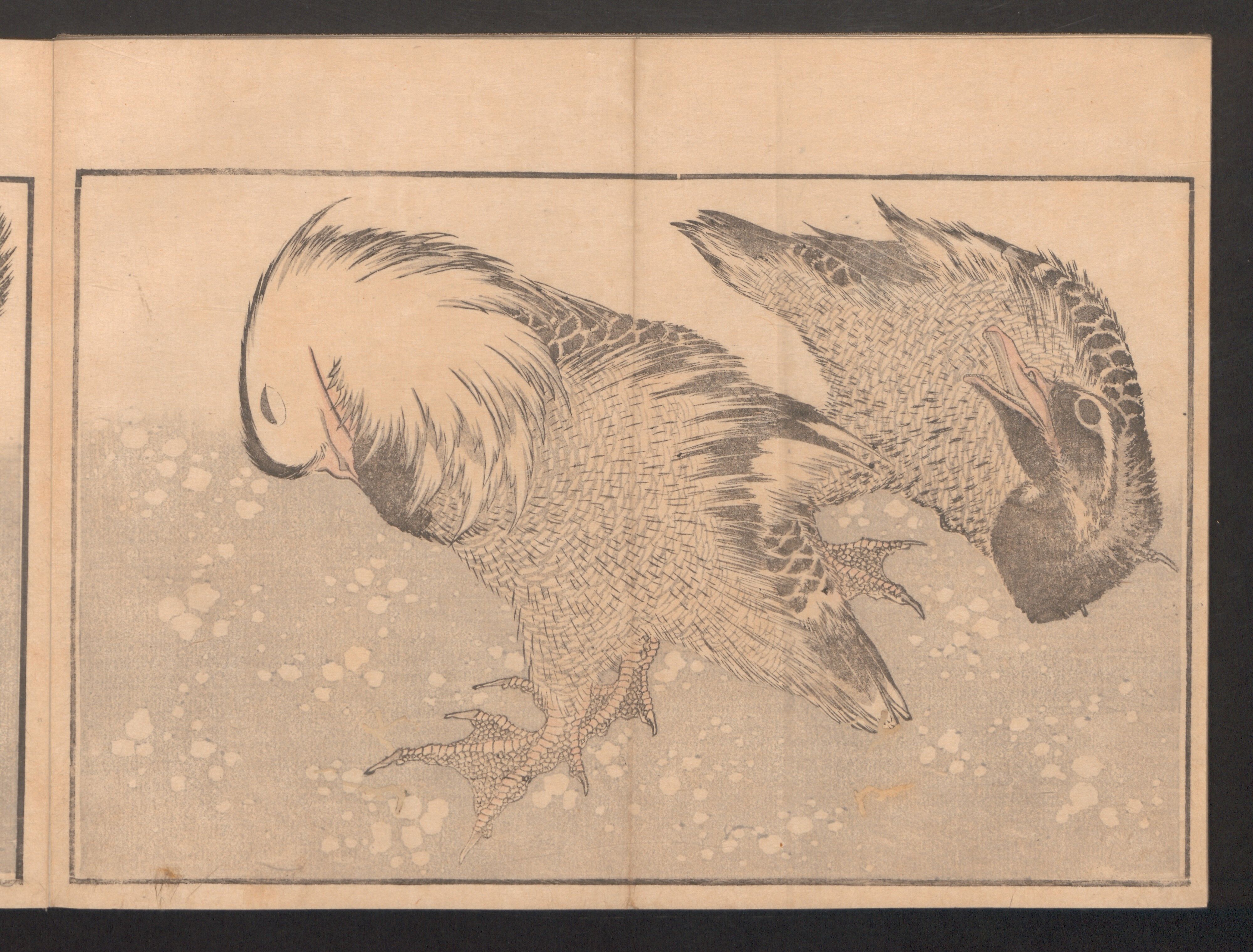 Katsushika Hokusai 葛飾北斎 - Pictures after Nature (Hokusai