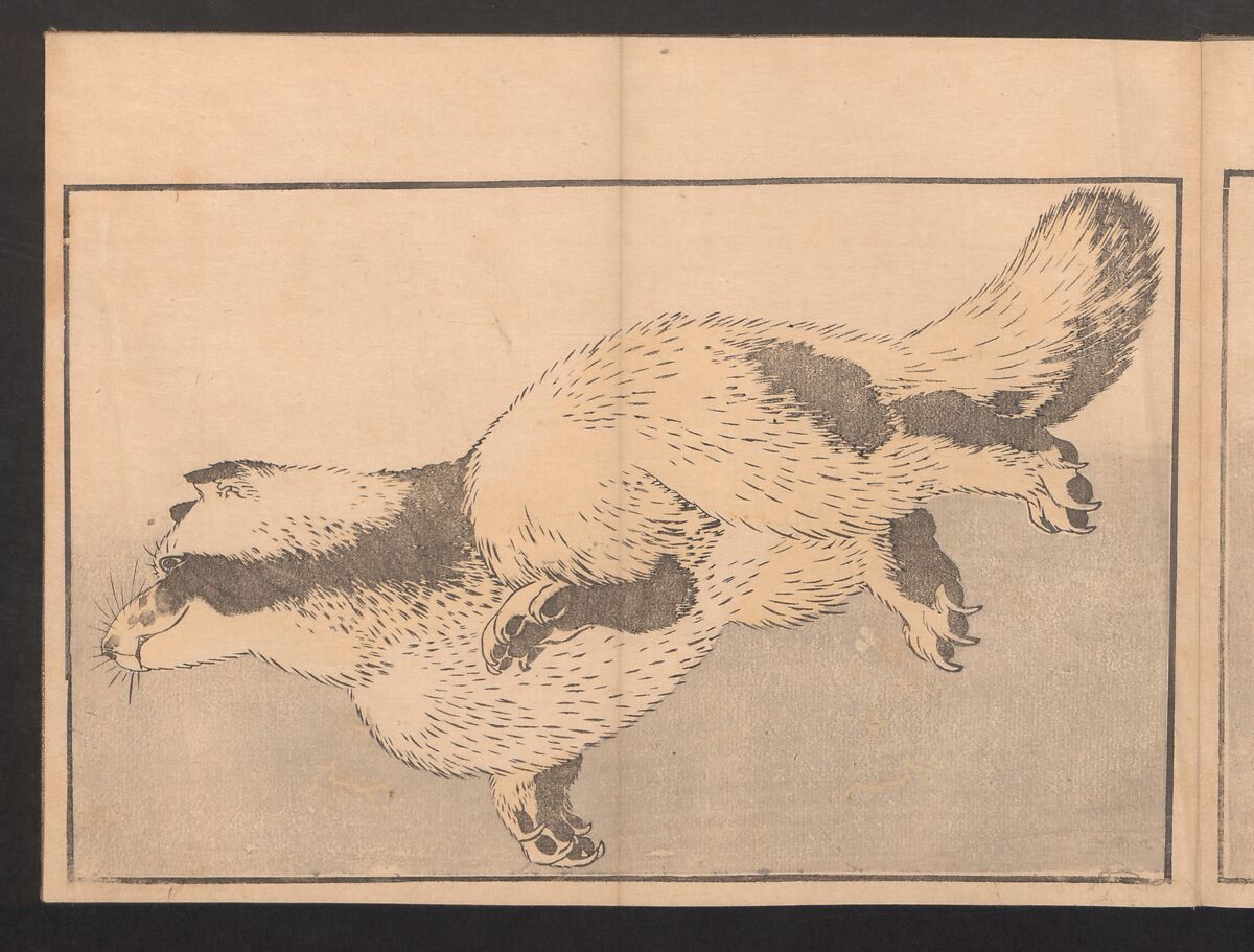 Pictures after Nature (Hokusai shashin gafu)  北斎写真画譜, Katsushika Hokusai 葛飾北斎 (Japanese, Tokyo (Edo) 1760–1849 Tokyo (Edo)), Polychrome woodblock prints in a book; ink and color on paper, Japan