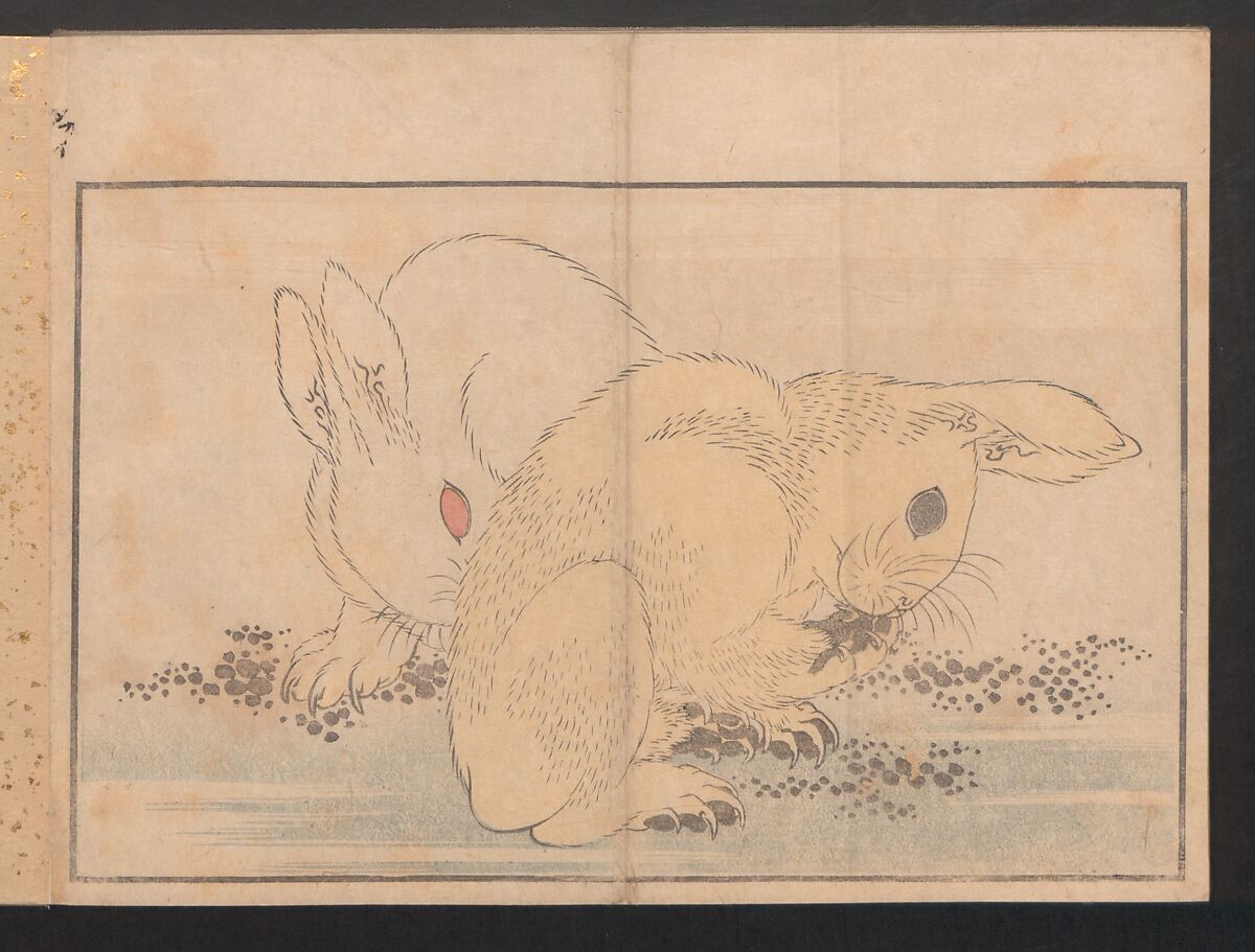 Pictures after Nature (Hokusai shashin gafu)  北斎写真画譜, Katsushika Hokusai 葛飾北斎 (Japanese, Tokyo (Edo) 1760–1849 Tokyo (Edo)), Polychrome woodblock prints in a book; ink and color on paper, Japan