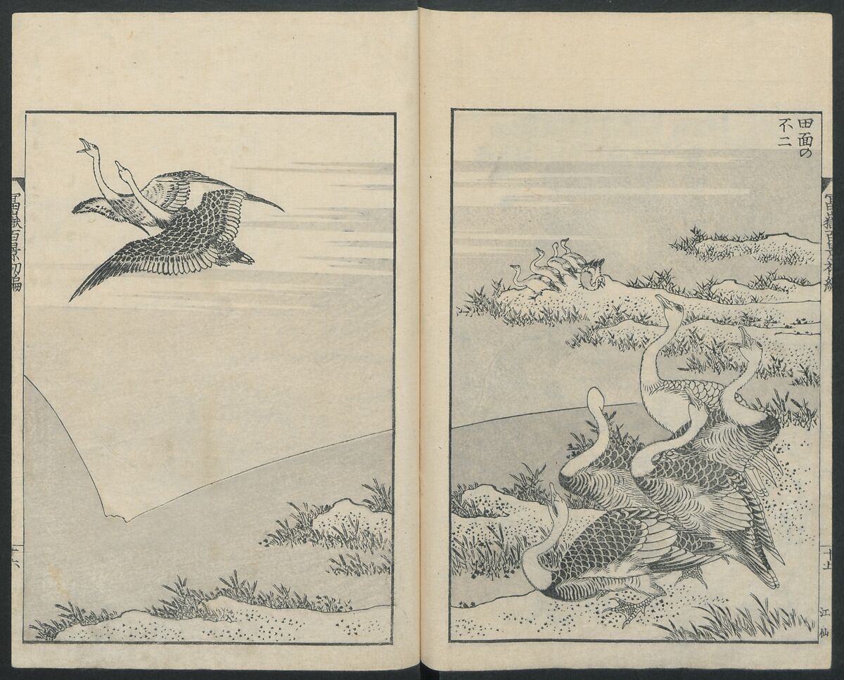 One Hundred Views of Mount Fuji (Fugaku Hyakkei shohen) 富嶽百景 初編, Katsushika Hokusai 葛飾北斎 (Japanese, Tokyo (Edo) 1760–1849 Tokyo (Edo)), Woodblock print; ink on paper, Japan